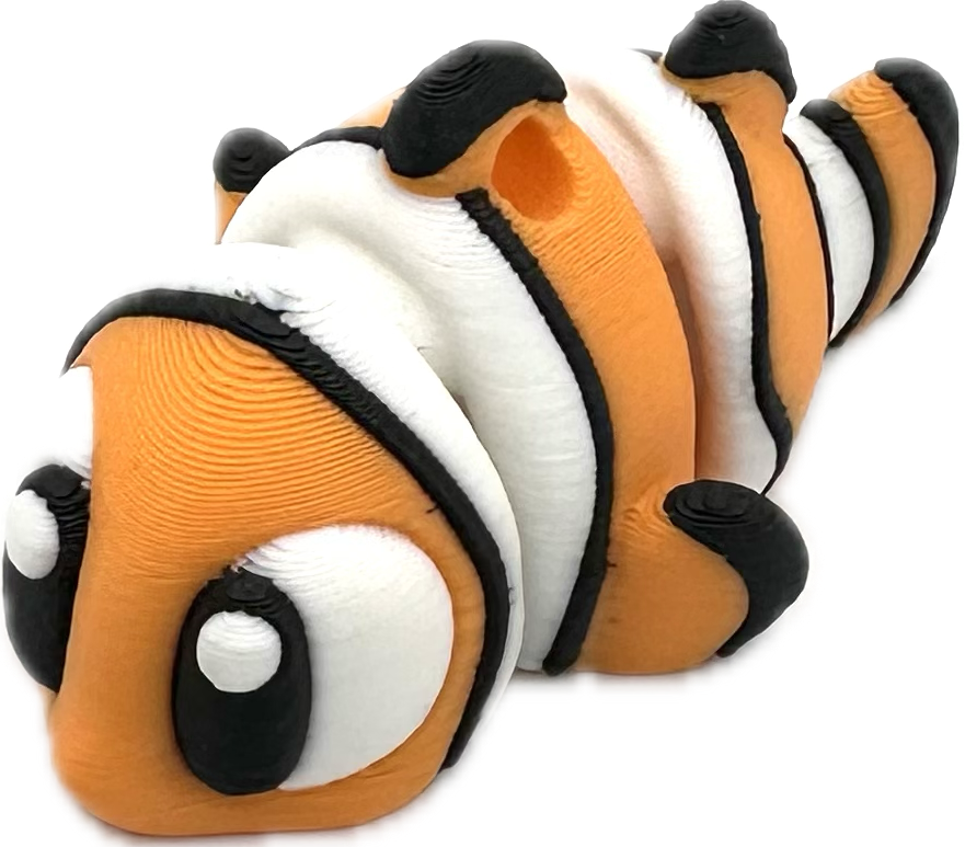 Clownfisch / Doktorfisch