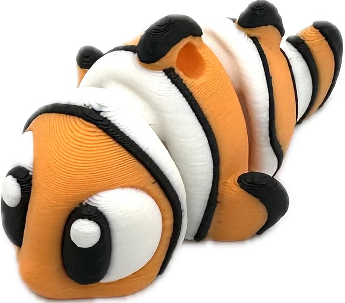 Clownfisch / Doktorfisch