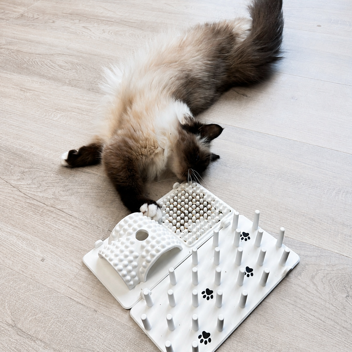 Fummelbrett für Katzen Starter Set – 2 Module