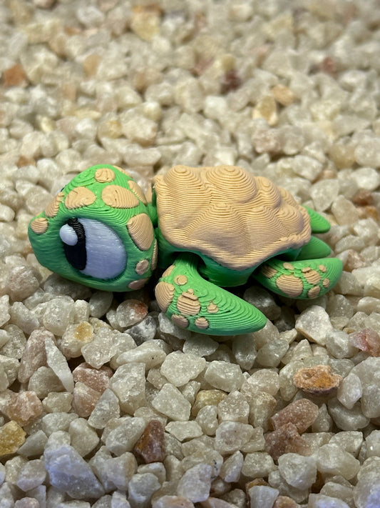 Meeres-Schildkröte