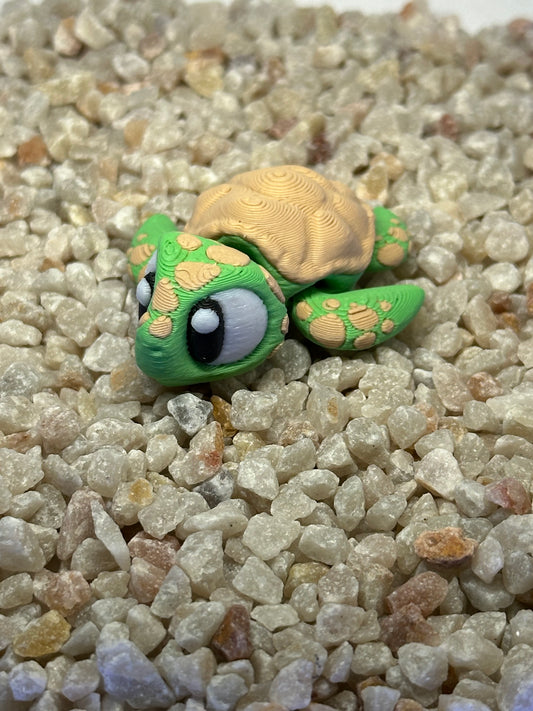 Meeres-Schildkröte