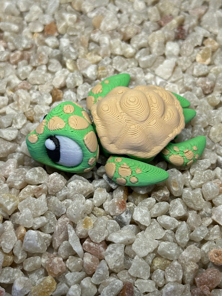 Meeres-Schildkröte