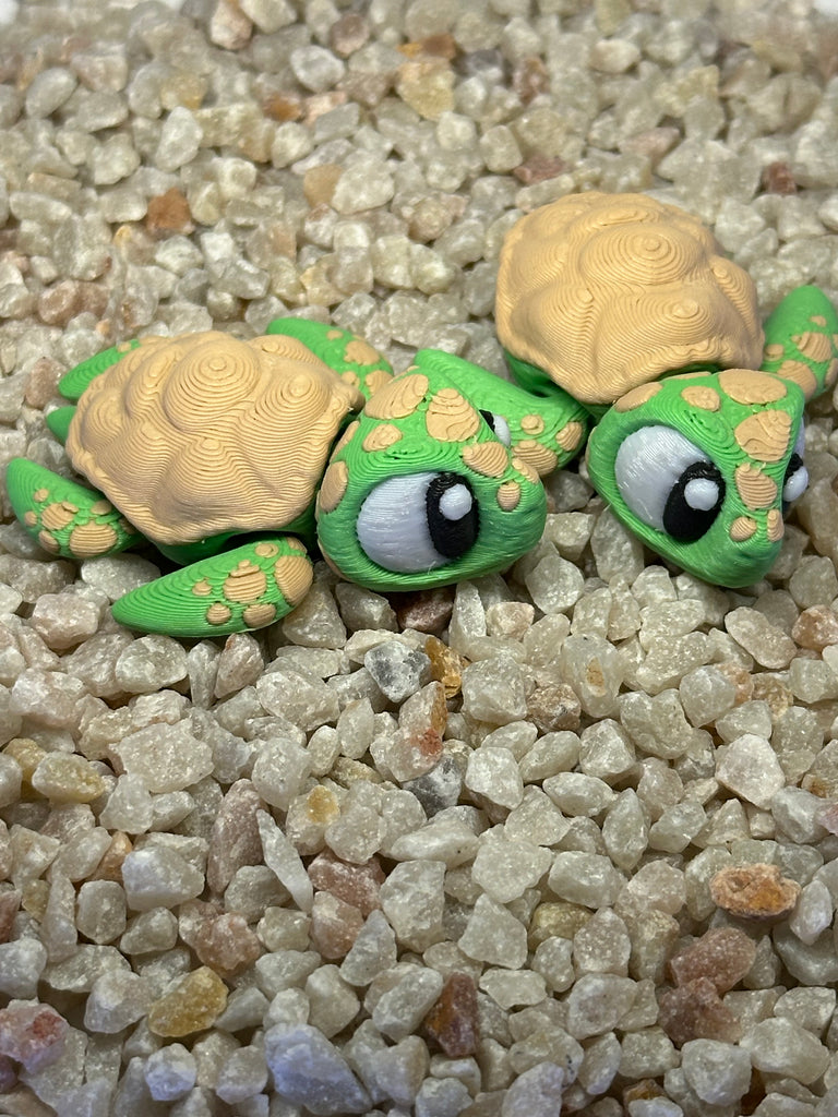 Meeres-Schildkröte