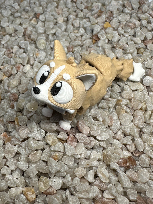 Corgi