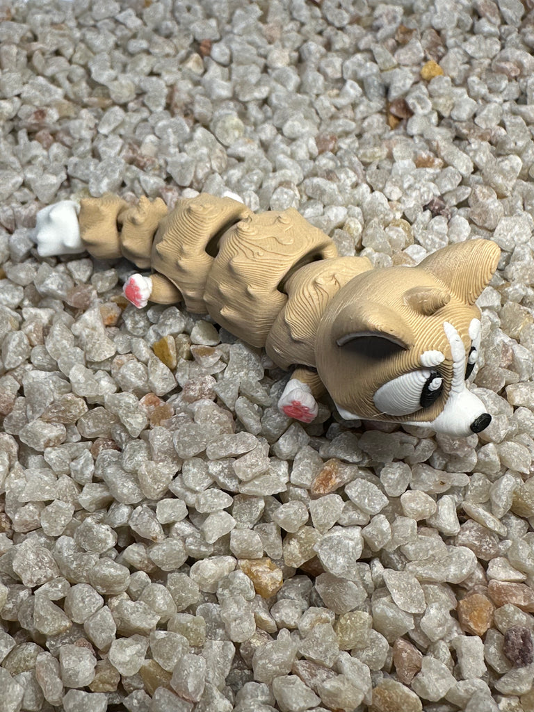 Corgi