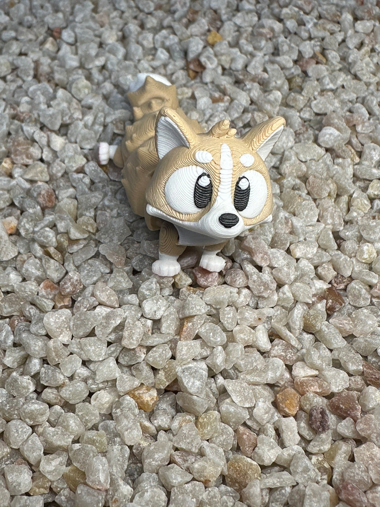 Corgi