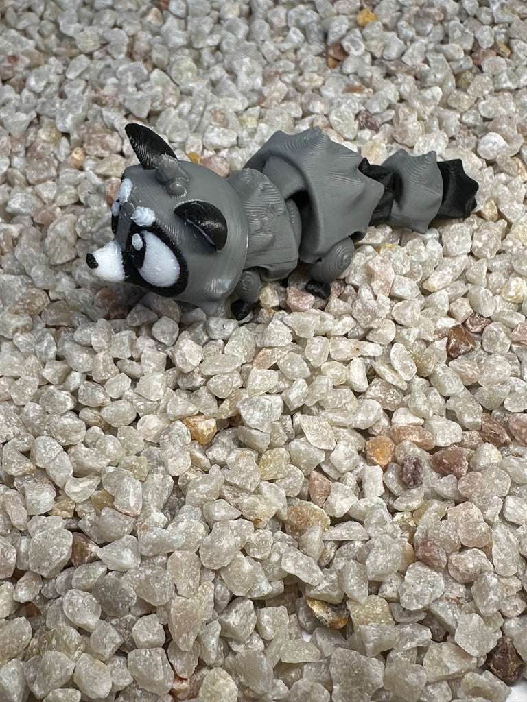 Waschbär