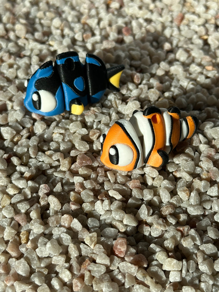 Clownfisch / Doktorfisch