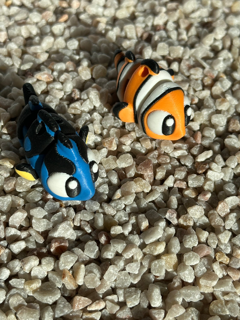 Clownfisch / Doktorfisch