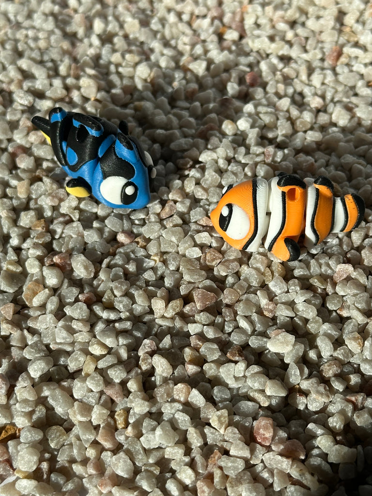 Clownfisch / Doktorfisch