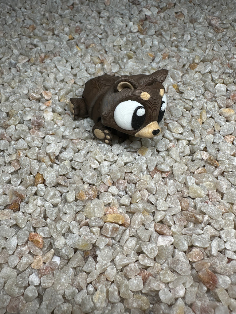 Braunbär