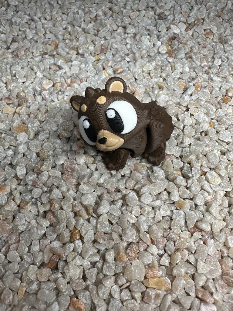 Braunbär