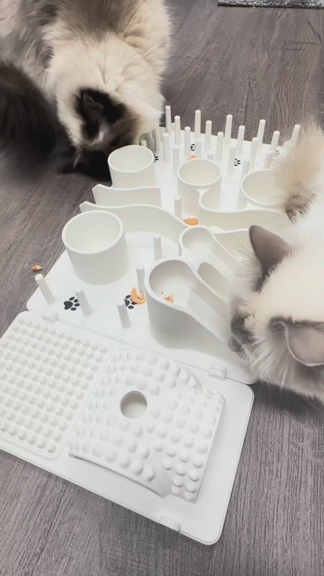 Fummelbrett für Katzen Starter Set – 4 Module
